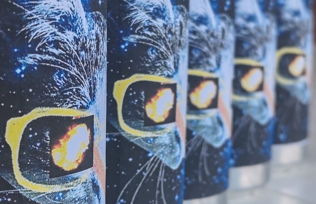 L&rsquo;Art du Brassage au Pied des Pyrénées : L&rsquo;Aventure Bruma