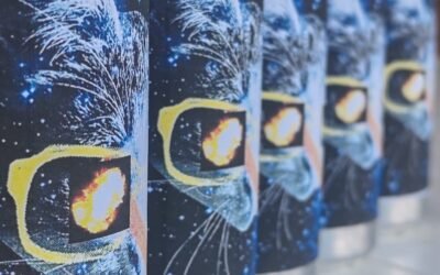 L&rsquo;Art du Brassage au Pied des Pyrénées : L&rsquo;Aventure Bruma