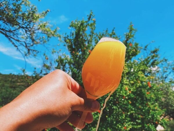 Découvrez la brasserie autour d’une dégustation